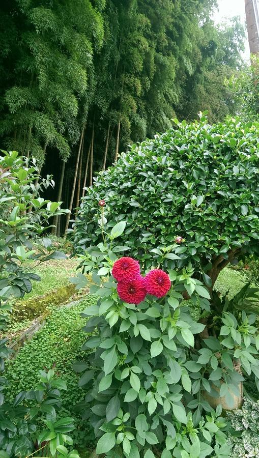 Cuiti B&B Fenchihu Dış mekan fotoğraf
