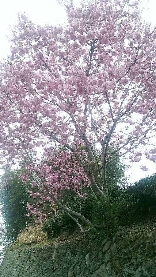 Cuiti B&B Fenchihu Dış mekan fotoğraf